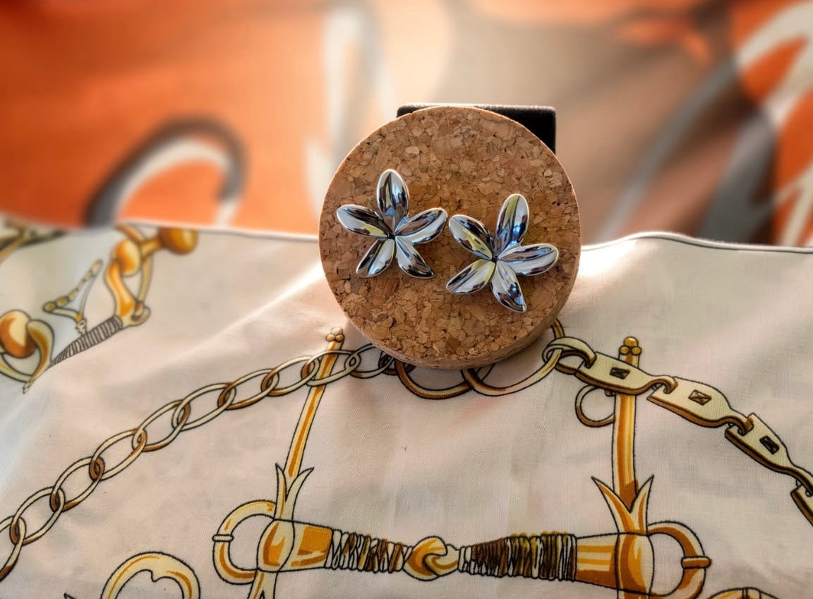 Boucles d'Oreilles Floréa Argentés